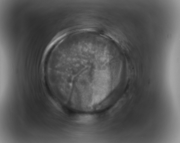 X0000083990198200703091852