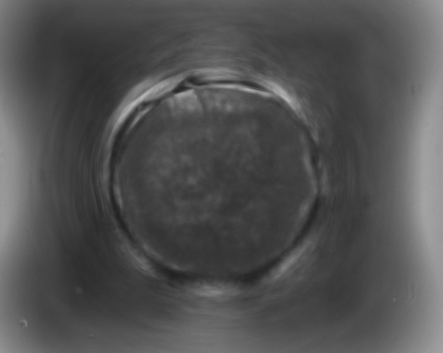 X0000083990199200703091852