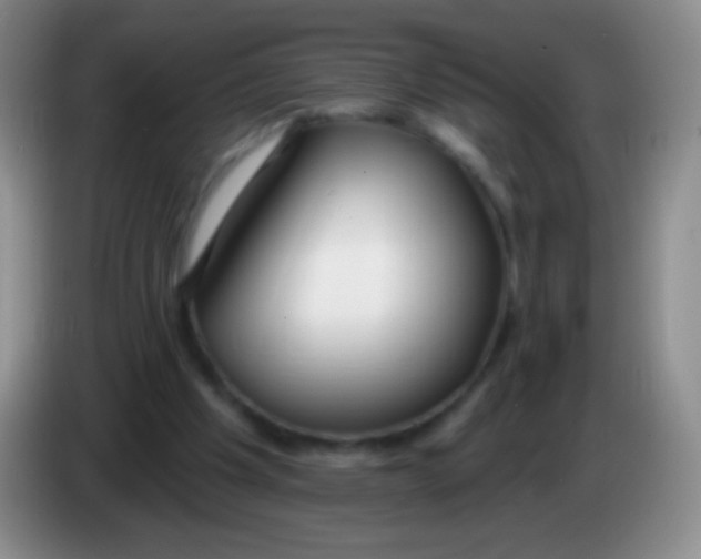 X0000083990201200703091852