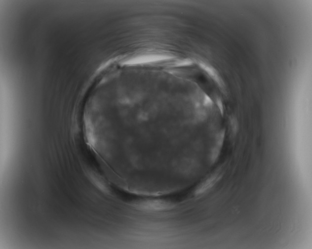 X0000083990203200703091852