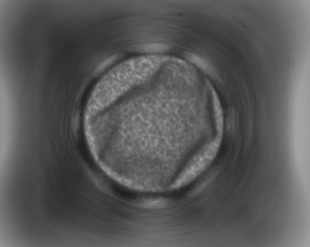 X0000083990206200703091852