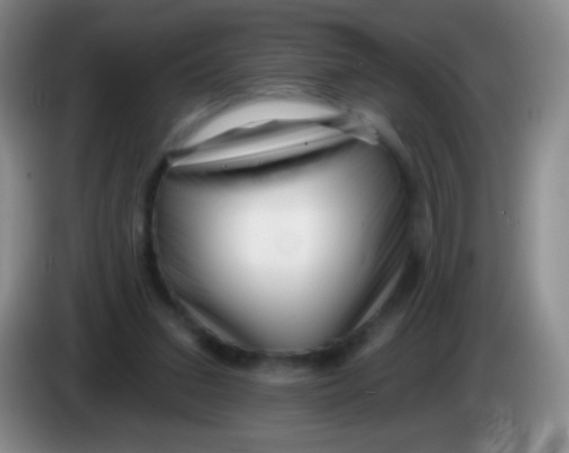 X0000083990207200703091852