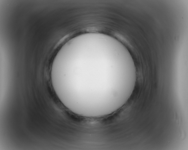 X0000083990208200703091852