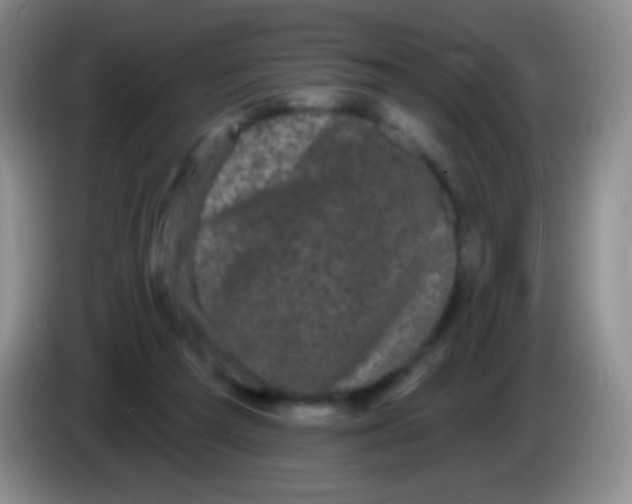 X0000083990209200703091852