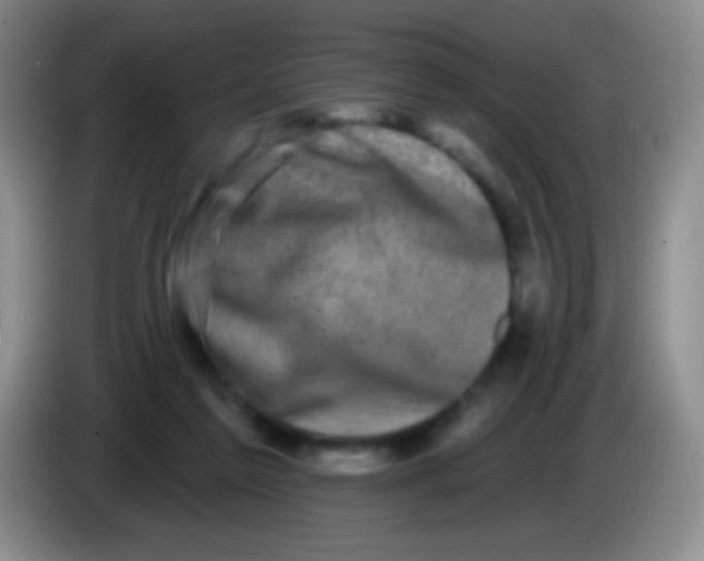 X0000083990213200703091852