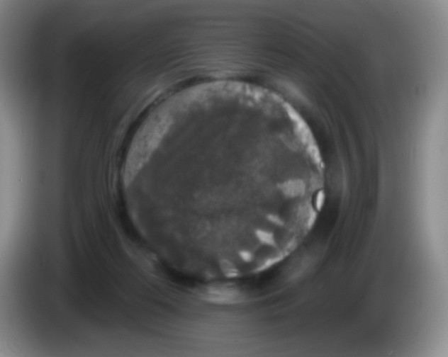 X0000083990214200703091852