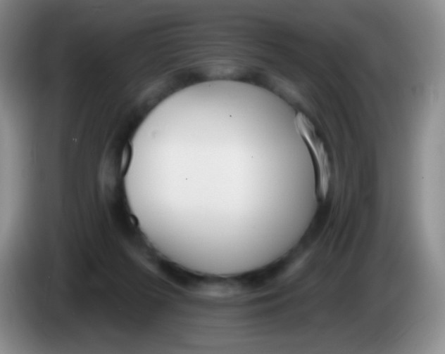 X0000083990215200703091852