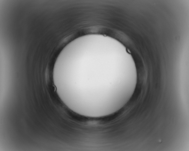 X0000083990216200703091852