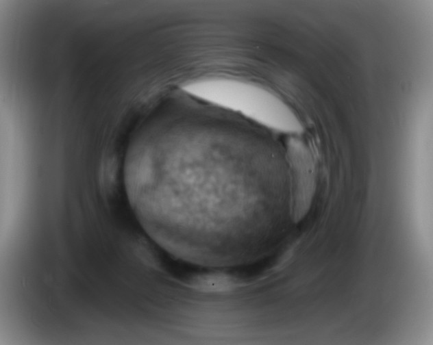 X0000083990219200703091852