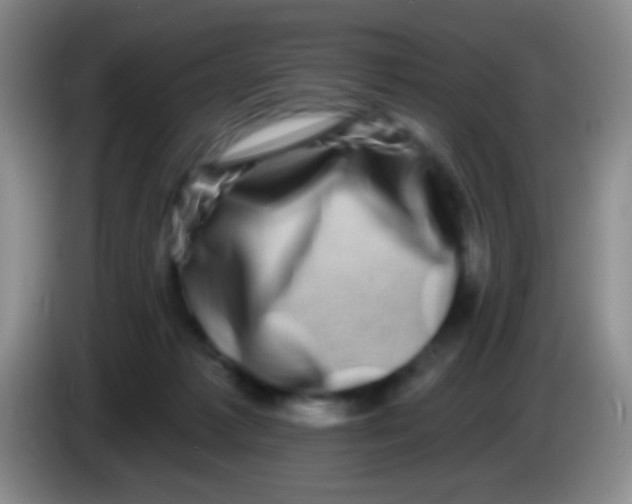 X0000083990221200703091852