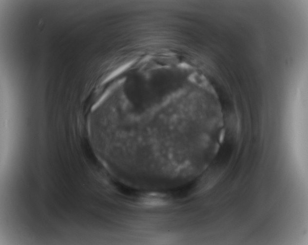 X0000083990222200703091852