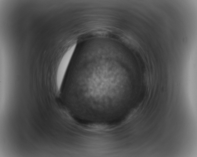 X0000083990223200703091852