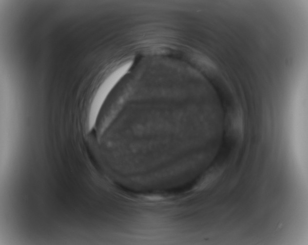 X0000083990224200703091852