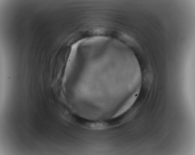 X0000083990225200703091852