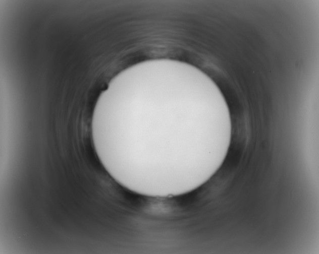 X0000083990226200703091852