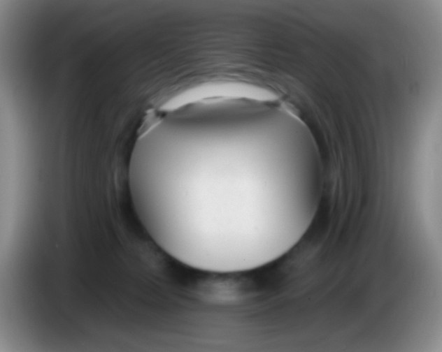 X0000083990228200703091852