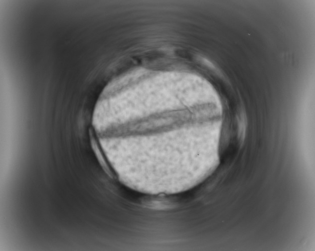 X0000083990229200703091852