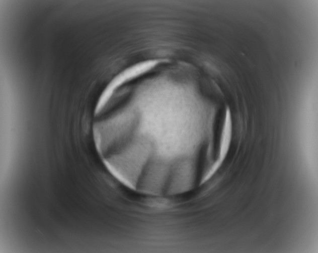 X0000083990230200703091852