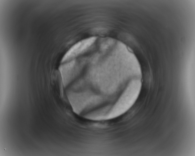 X0000083990232200703091852