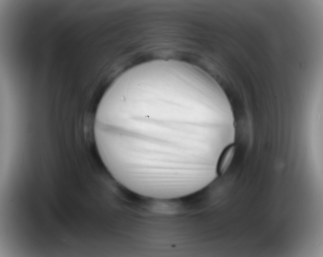 X0000083990234200703091852