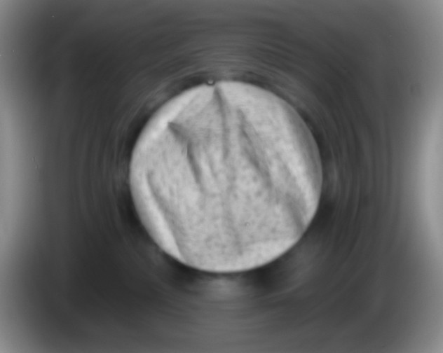 X0000083990236200703091852