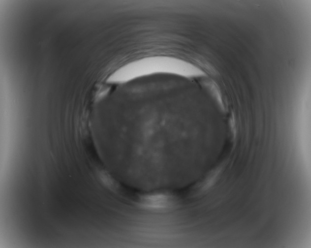 X0000083990237200703091852