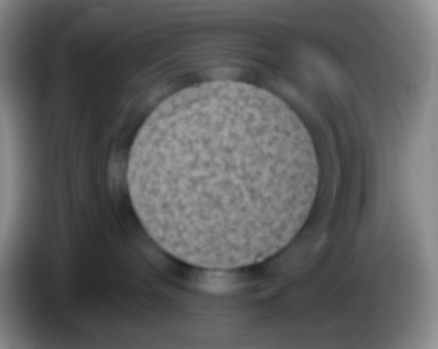 X0000083990240200703091852