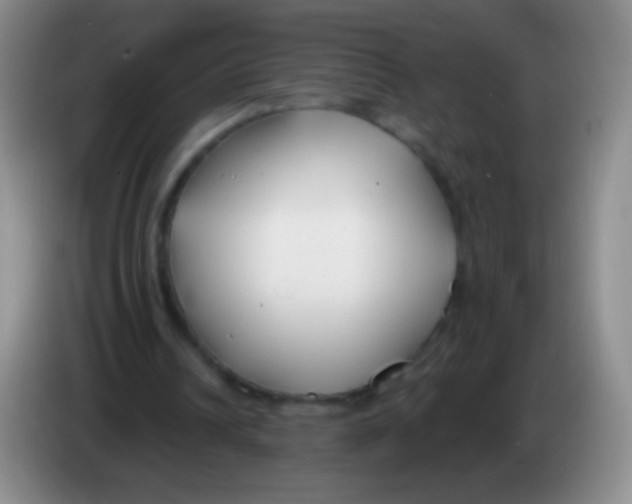 X0000083990242200703091851