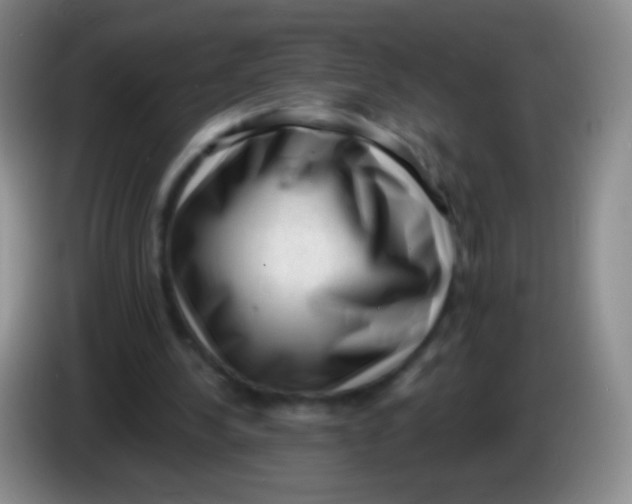 X0000083990244200703091851