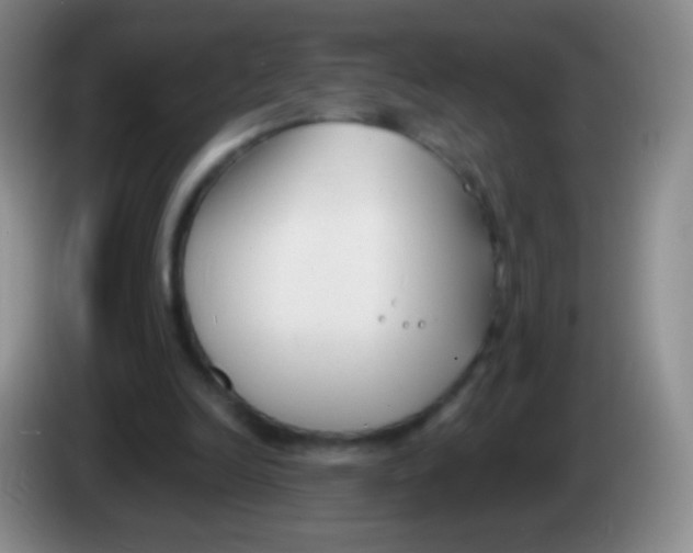 X0000083990246200703091851