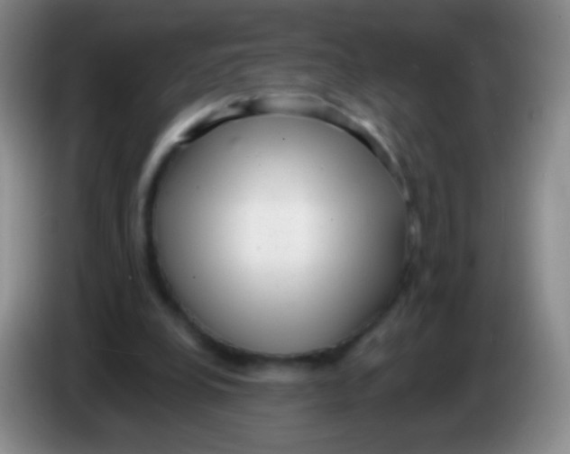 X0000083990248200703091851