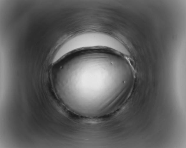 X0000083990250200703091851