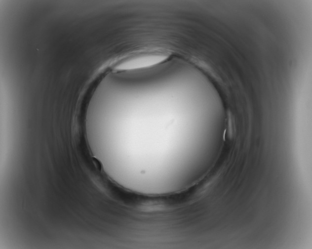 X0000083990252200703091851