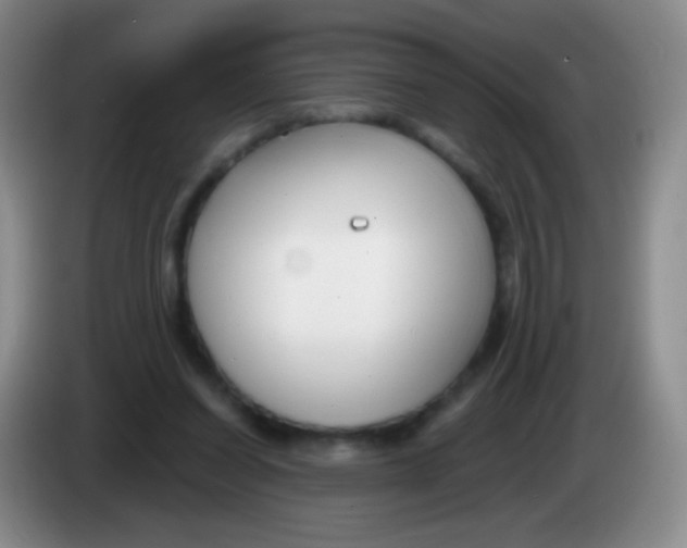 X0000083990254200703091851