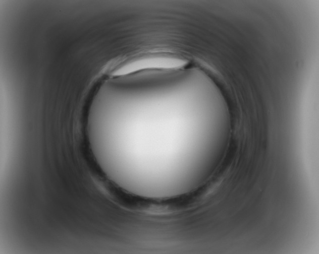 X0000083990256200703091851