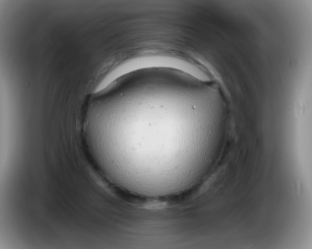 X0000083990257200703091851