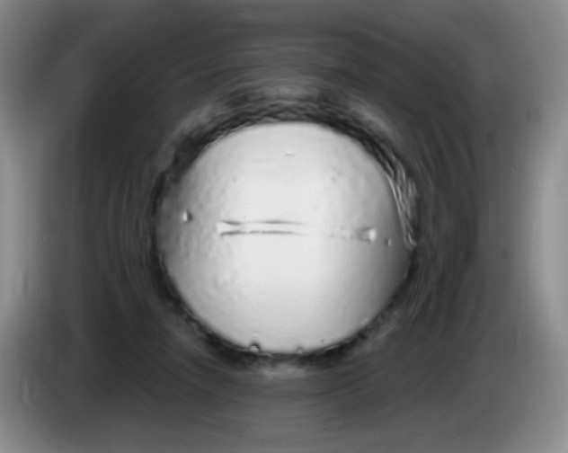 X0000083990258200703091851