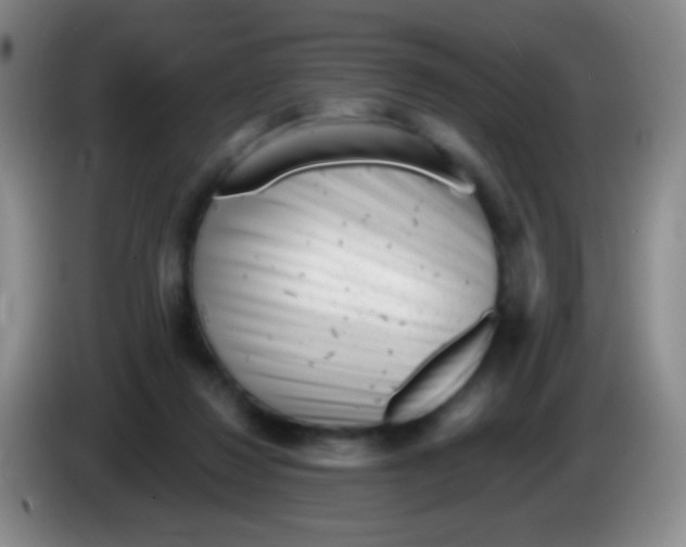 X0000083990260200703091851