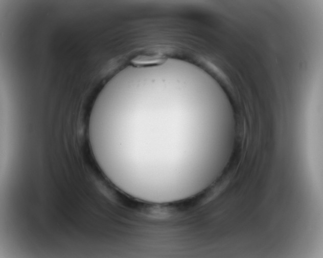 X0000083990261200703091851