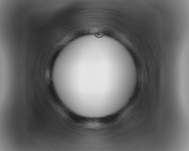 X0000083990262200703091851