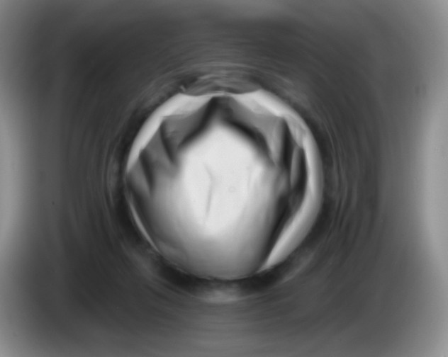 X0000083990263200703091851