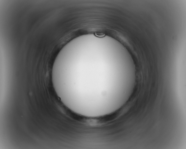 X0000083990265200703091851