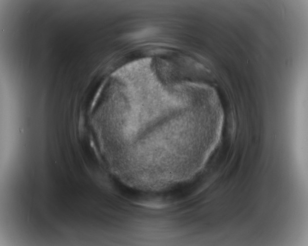 X0000083990267200703091851