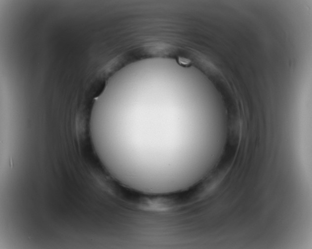 X0000083990268200703091851