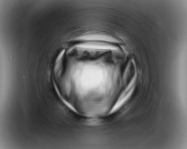 X0000083990269200703091851