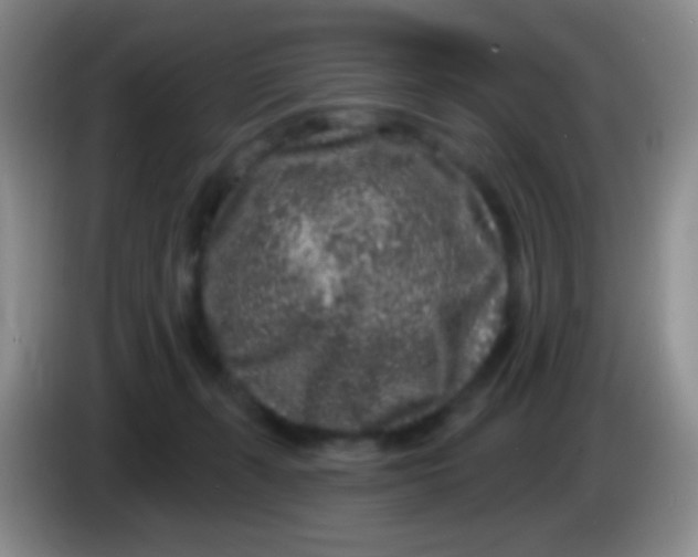 X0000083990271200703091851