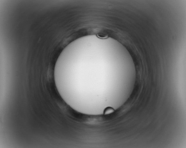 X0000083990274200703091851