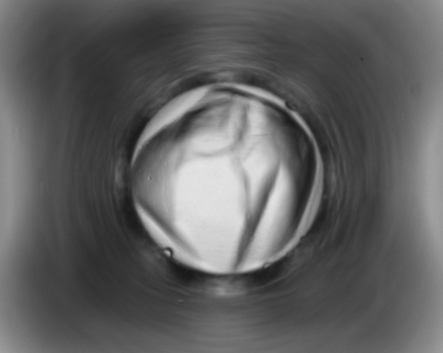 X0000083990275200703091851