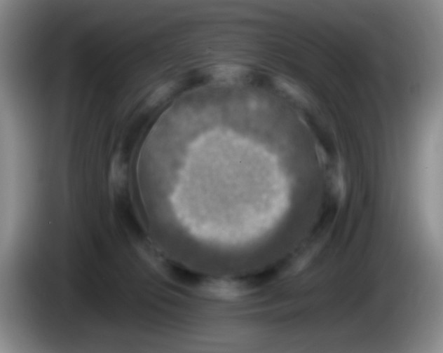 X0000083990276200703091851