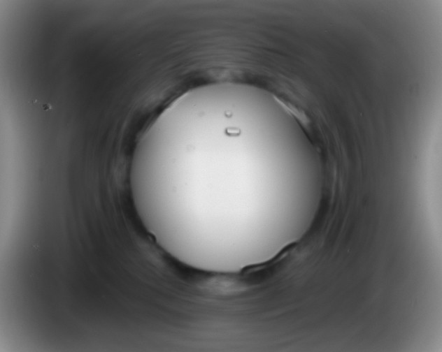 X0000083990280200703091851